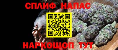 ECSTASY Гай