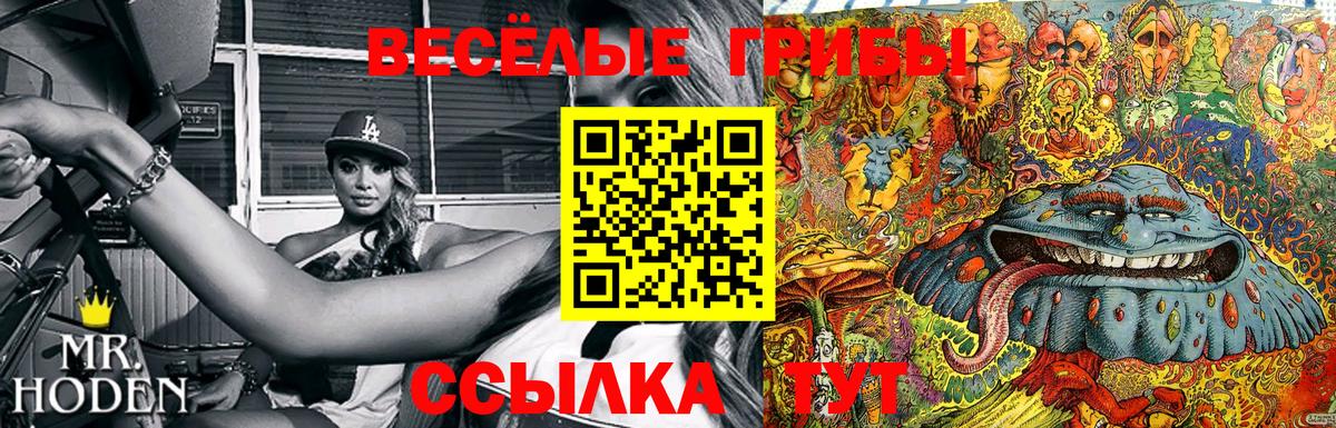Мценск  Галлюциногенные грибы ЛСД  Вход с VPN  где купить наркоту  Галлюциногенные грибы Psilocybine cubensis 
