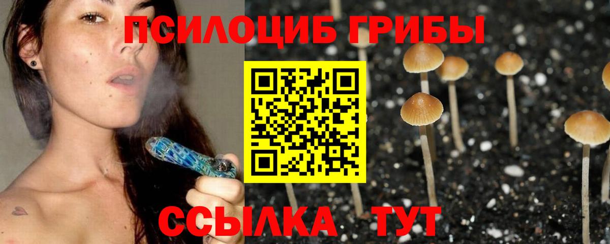 Псилоцибиновые грибы GOLDEN TEACHER Мценск